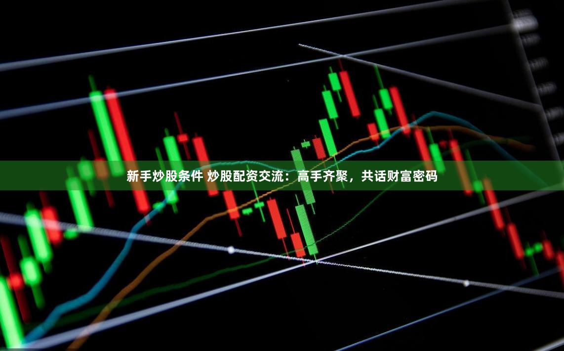 新手炒股条件 炒股配资交流：高手齐聚，共话财富密码